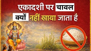 Ekadashi Vrat, Ekadashi Vrat 2026, Why Rice is Not Eaten on Ekadashi, Ekadashi Rice Mythology, Ekadashi Religious Belief, Vishnu Ekadashi Vrat, एकादशी पर चावल खाना क्यों माना जाता है वर्जित, एकादशी व्रत में चावल क्यों नहीं खाया जाता, Ekadashi Rice Prohibited, एकादशी पर चावल क्यों नहीं खाते, Ekadashi par chawal kyun nahi khate, Ekadashi vrat me chawal kyun nahi khaya jata, Ekadashi chawal varjit hone ki katha, Ekadashi vrat ki pauranik katha, Why rice is not eaten on Ekadashi, Ekadashi vrat ka mahatva, Ekadashi vrat significance चावल