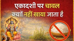 Ekadashi Vrat: एकादशी पर चावल खाना क्यों माना जाता है वर्जित, जानिए पौराणिक कथा और धार्मिक मान्यता