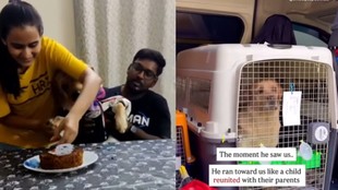 Indian couple spends 15 lakhs to bring pet dog to Australia read full story