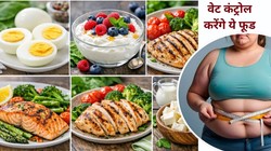 Weight Loss: वजन घटाने के लिए बेस्ट है हाई प्रोटीन डाइट, अंडा-चिकन के अलावा इन 3 चीजों से भी कम होगी चर्बी, एक्सपर्ट की राय
