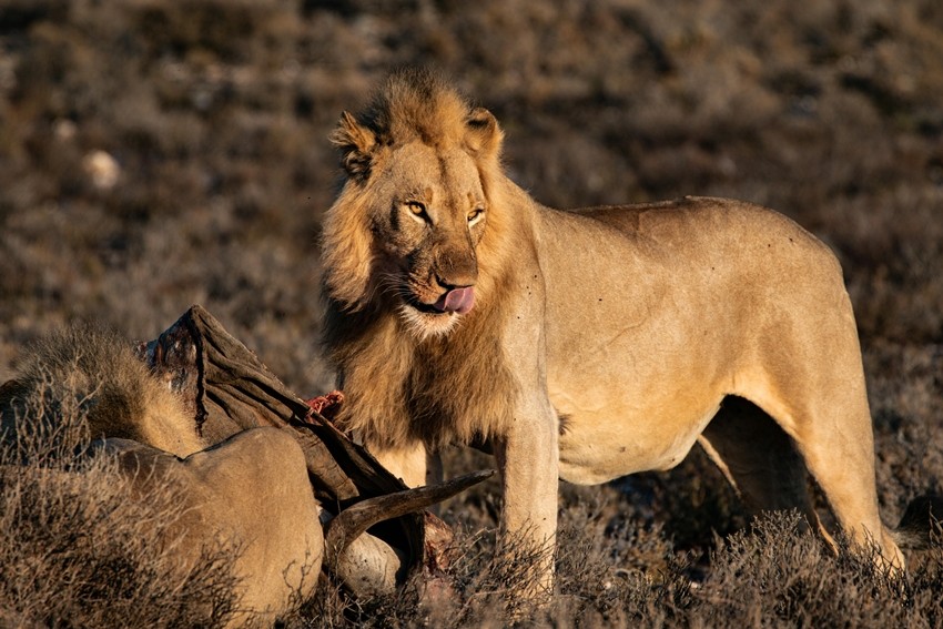 Fascinating zoology facts