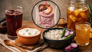 Fermented foods for gut health, Gut health improve foods, Good bacteria for intestines, Fermented foods benefits, Gut health diet,robiotics rich foods