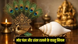 Vastu Tips: घर में मोर पंख और शंख रखने के क्या हैं वास्तु नियम, जानिए