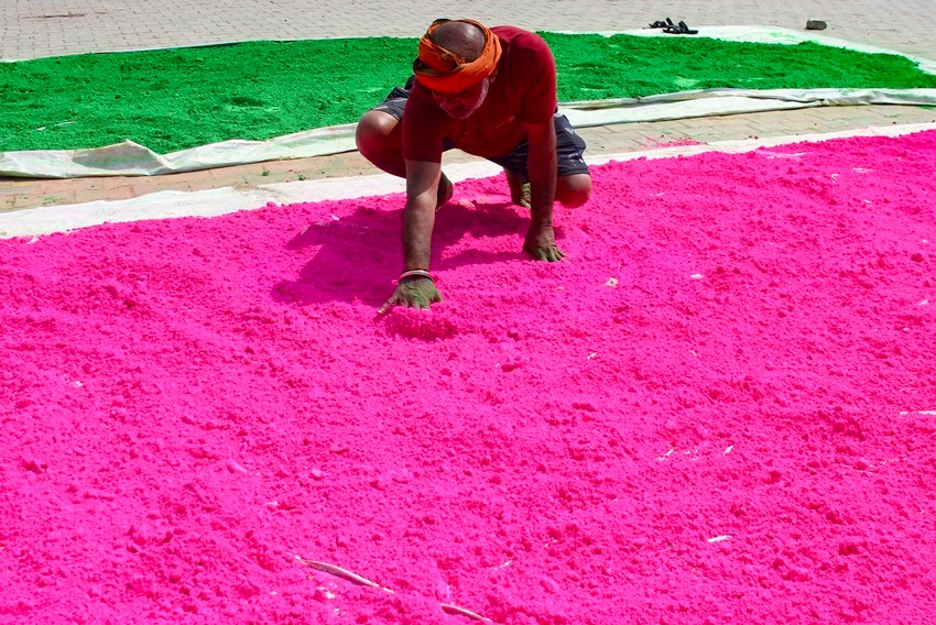 Holi festival colors India