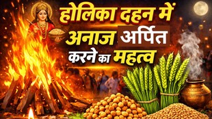 Holika Dahan tradition, Holika Dahan 2026, Why wheat and gram offered in Holika Dahan, Holika Dahan ritual significance, Holika Dahan new grain offering, Green wheat ears Holika Dahan, Chana offering in Holika Dahan, Holika Dahan wheat and gram significance, Holika Dahan farming tradition, Why green wheat and gram are offered in Holika Dahan, Significance of offering new grains in Holika Dahan, Holika Dahan rituals related to harvest, Holika Dahan food and harvest ritual, Holika Dahan religious significance, Holi festival traditions India, होलिका दहन परंपरा, होलिका दहन 2026, होलिका दहन में गेहूं चना क्यों डालते हैं