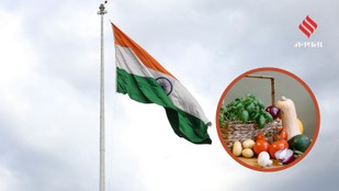How Indian Farms Feed the World