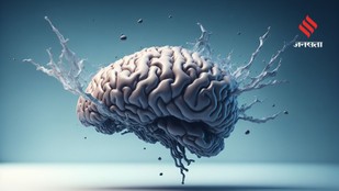 How Your Brain Hacks Reality to Keep You Alive