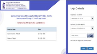 IBPS RRB PO Final Result, ibps.in, ibps result,