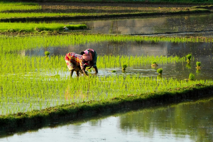 ICAR agricultural practices