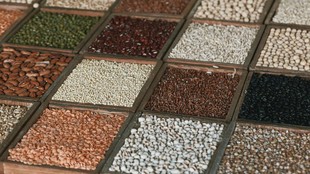 India tariffs on US goods