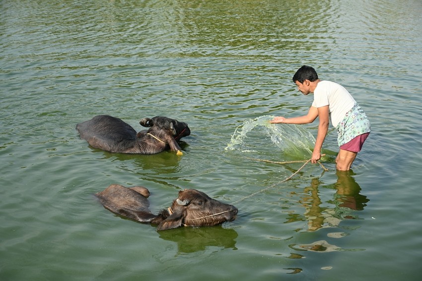 Indian farmers feeding the world