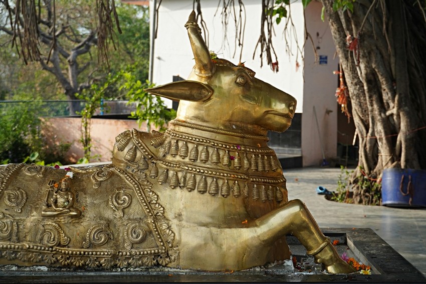 Lord Shiva and Nandi