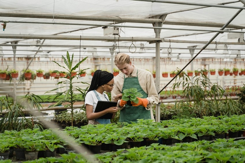 Multilingual AI tool for farmers