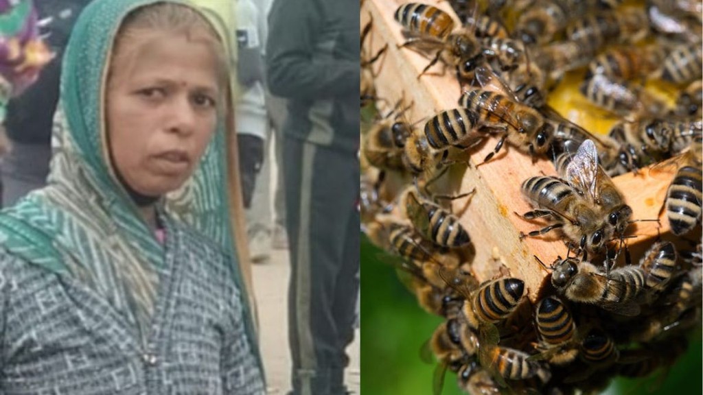 Anganwadi Worker Dies While Saving Kids From Swarm Of Bees In Neemuch Madhya Pradesh