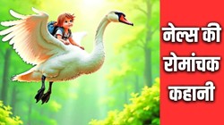 अमर किरदार: नेल्स की अद्भुत यात्रा, बौना बनने के बाद पशु-पक्षियों की भाषा समझने वाला बालक