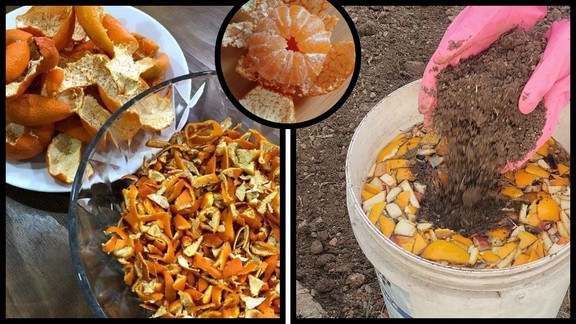 Orange Peel Fertilizer, Orange Peel, Orange Peel Fertilizer For Plants