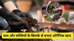 Organic fertilizer from kitchen waste, How to make compost at home