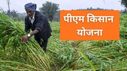 PM Kisan 22th Installment: पीएम किसान के 2000 रुपये जल्द हो सकते हैं जारी, 22वीं किस्त से पहले जान लें हर जरूरी सवाल का जवाब