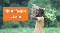 पीएम किसान योजना के 2000 रुपये खाते में नहीं आ रहे? ये हो सकती हैं वजहें, किस्त के लिए करें ये काम