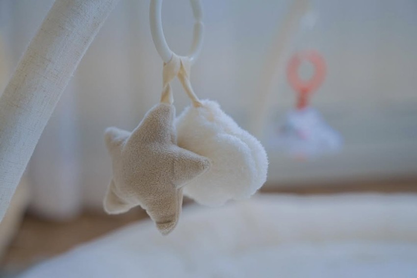 Parineeti Chopra and Raghav Chadha embrace parenthood with Neer