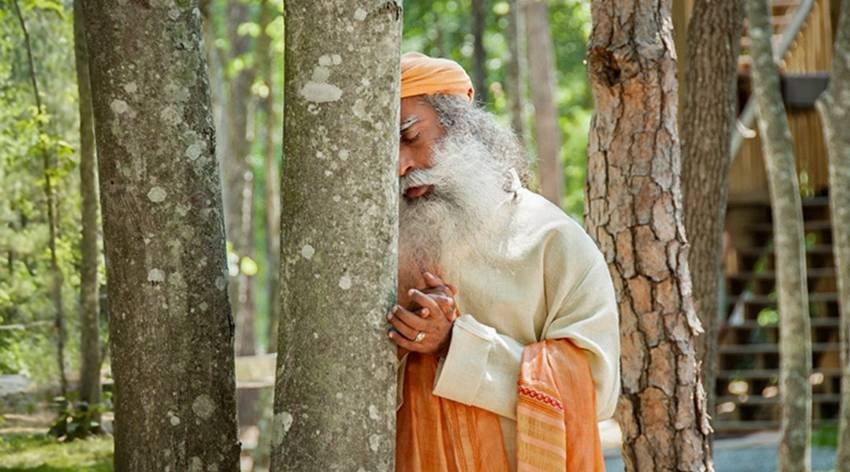 Sadhguru Quotes in Hindi