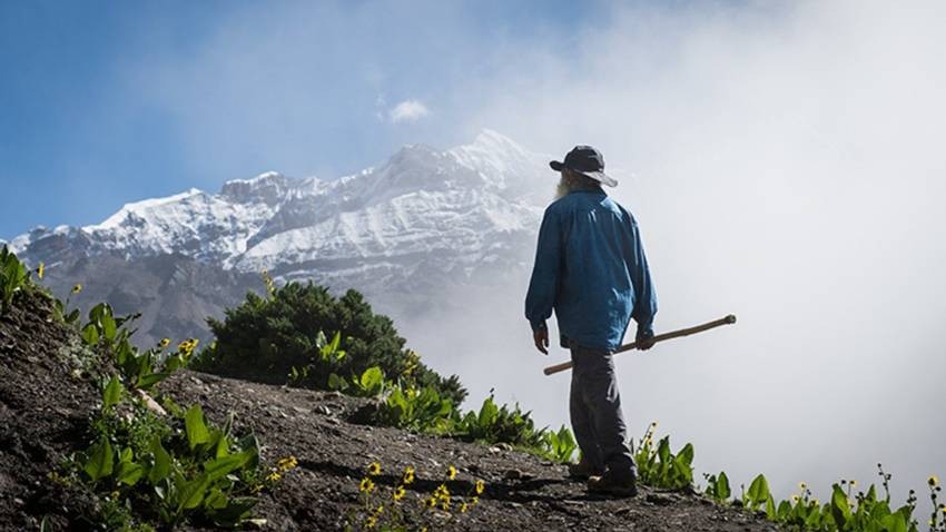 Sadhguru Mental Peace Thoughts