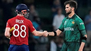 T20 World Cup 2026, ENG vs PAK, Harry Brook, Shaheen Afridi