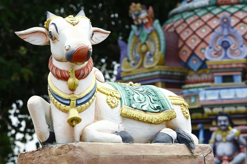 Spiritual Meaning of Nandi