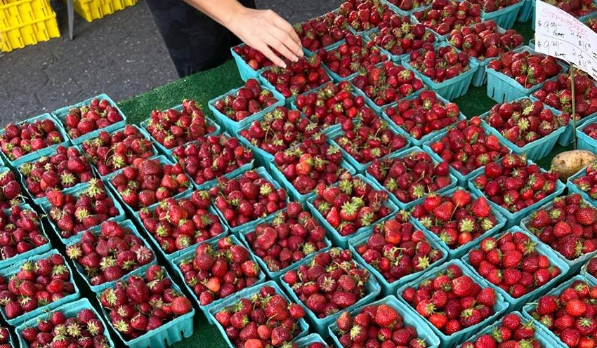  Fruit cultivation in India