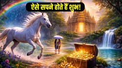 सपने में बारिश, घोड़ा समेत इन 5 चीजों का दिखना माना जाता है बेहद शुभ, आने वाले दिनों में मिलती है शुभ सूचना, धन प्राप्ति के बनते हैं योग 