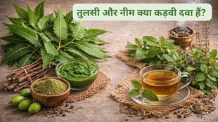 Neem leaves benefits, Tulsi leaves health benefits, Neem and tulsi together benefits, Natural immunity booster, Ayurvedic medicinal plants