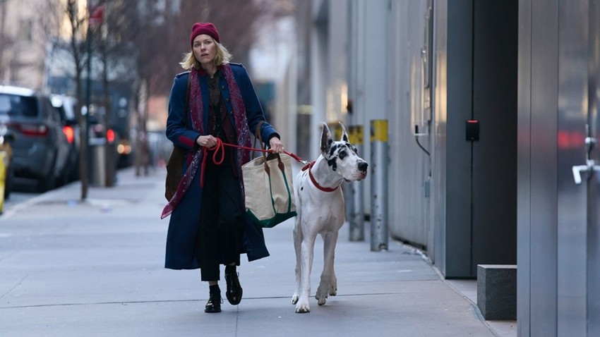 The Friend is a 2024