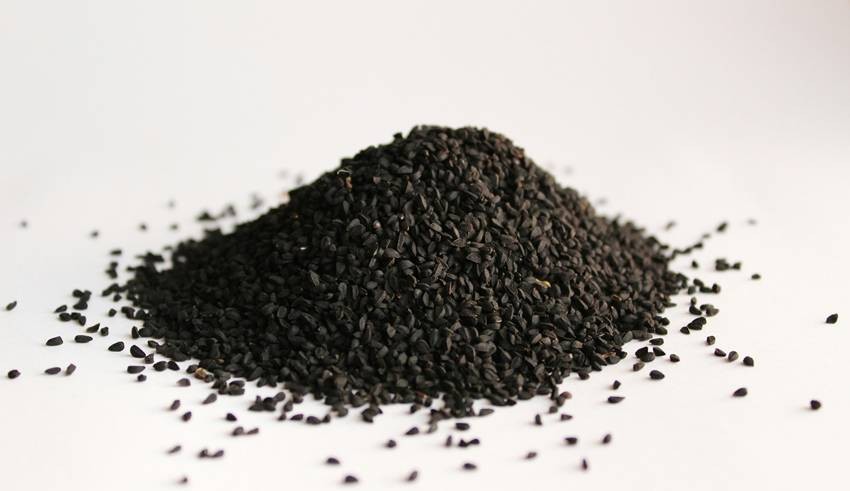 Why Tulsi is not offered to Shiva
