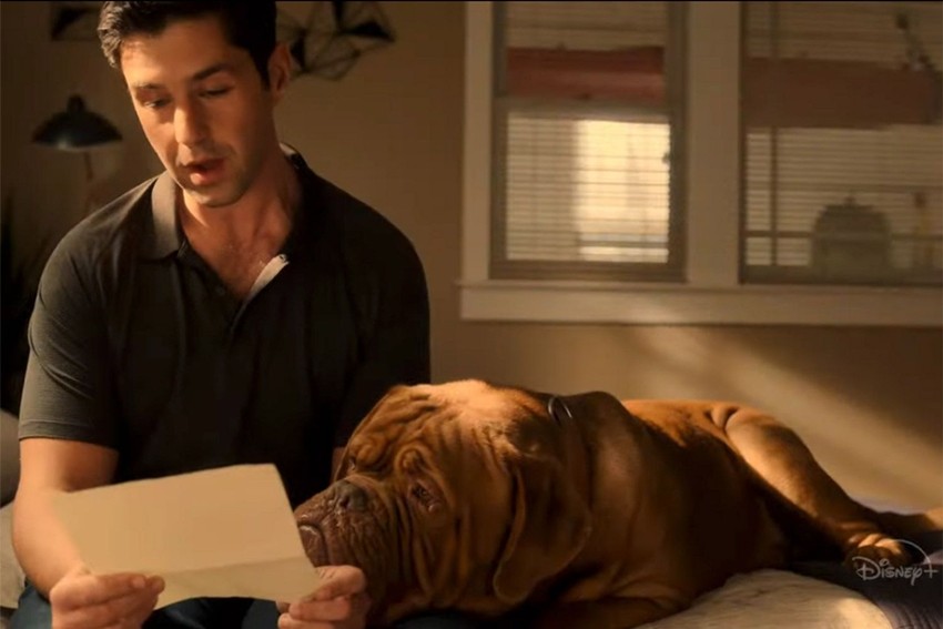 Turner & Hooch