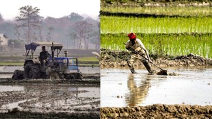 Uttar Pradesh, Farmers, Hindi News