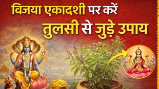 Vijaya Ekadashi, Vijaya Ekadashi 2026, Vijaya Ekadashi Tulsi Upay, विजया एकादशी 2026, तुलसी के उपाय, विजया एकादशी पर तुलसी के 3 उपाय, Vijaya Ekadashi par Tulsi ke upay, विजया एकादशी पर मां लक्ष्मी की कृपा, Tulsi upay for wealth, विजया एकादशी धन लाभ उपाय, विजया एकादशी सुख समृद्धि उपाय, Vijaya Ekadashi Vrat, Vijaya Ekadashi Puja Vidhi, Tulsi ke chamatkari upay, Lakshmi kripa ke upay, Ekadashi Tulsi upay, एकादशी व्रत, Ekadashi vrat benefits, विजया एकादशी पर करें तुलसी से जुड़े उपाय