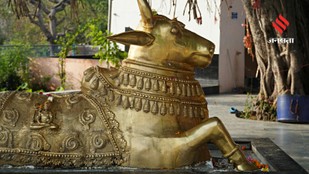 Why Is Nandi Placed Directly Opposite the Shivling