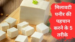 जागो ग्राहक जागो: खरीदने से पहले नकली या मिलावटी पनीर की पहचान करने के आसान तरीके