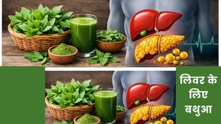 Bathua for Fatty Liver reversal, Benefits of Bathua for Liver health, How to detox liver with Bathua, फैटी लिवर के लिए बथुआ के फायदे, बथुआ से लिवर की सफाई, Chenopodium album benefits for liver, Natural remedies for Fatty Liver, Winter superfoods for liver detox,