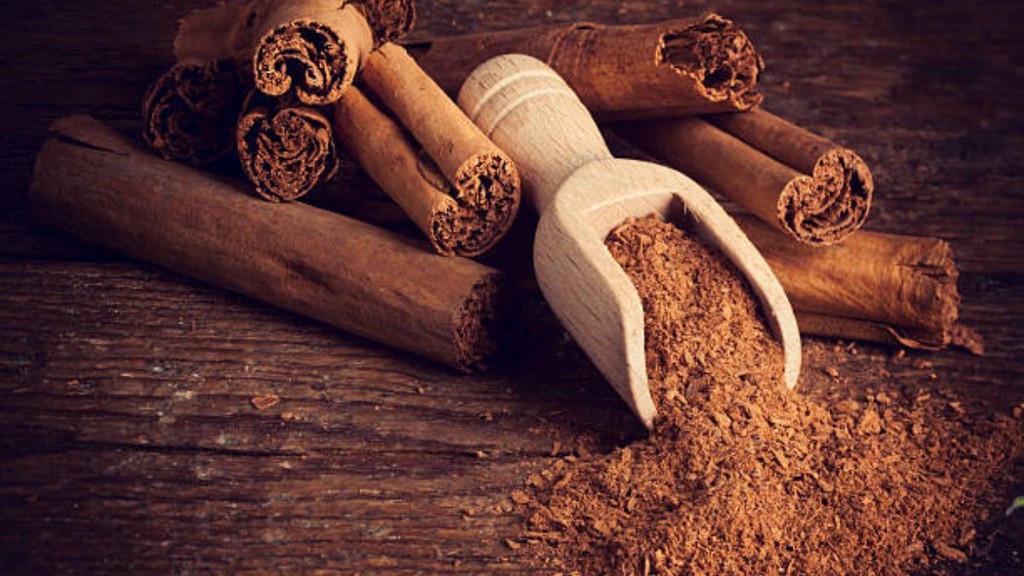 dalchini ke fayde, cinnamon benefits, dalchini benefits in hindi, ayurvedic benefits of dalchini, cinnamon health benefits, dalchini ke ayurvedic fayde, cinnamon benefits for health, dalchini khane ke fayde, cinnamon water benefits, dalchini powder benefits, dalchini ke fayde dard ke liye, cinnamon benefits for joint pain, dalchini khansi jukam ke liye, cinnamon benefits for cough and cold, dalchini pet ke liye fayde, cinnamon benefits for digestion, dalchini arthritis ke liye, cinnamon benefits for immunity