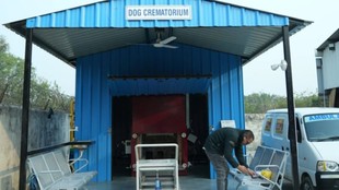 dog crematorium| Gujarat News| ahmedabad