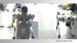 चीन के रोबोटिक डॉग पर बवाल: गलगोटिया यूनिवर्सिटी की AI समिट से छुट्टी, तुरंत स्टॉल खाली करने का निर्देश, जानें क्या है पूरा मामला