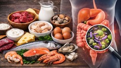 Vitamin B12 Deficiency: आंतों की सेहत बिगाड़ सकती है विटामिन B12 का स्तर, इन 5 फूड्स से करें कमी की भरपाई