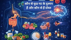कैसे पेट की हेल्थ आपके मूड और इम्यूनिटी को करती है प्रभावित? रिसर्च से समझे पूरी जानकारी, एक्सपर्ट ने बताएं गट फ्रेंडली फूड