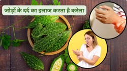 जोड़ों के दर्द और यूरिक एसिड की समस्या है? डाइट में शामिल करें करेला, लेकिन ये लोग बरतें सावधानी