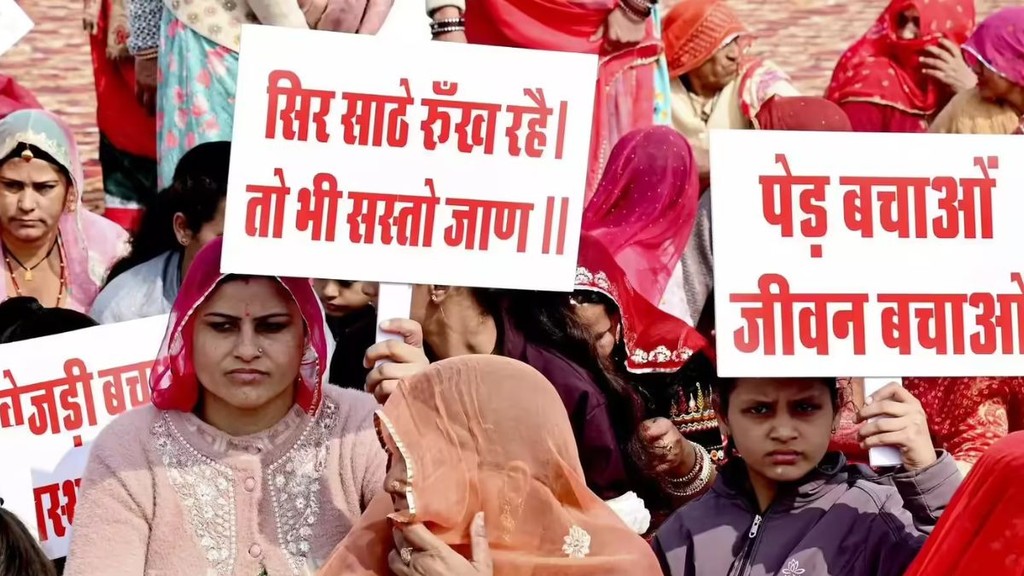 khejri bachao andolan, rajasthan news, kalpavriksha rajasthan khejri bachao andolan, rajasthan news, kalpavriksha rajasthan