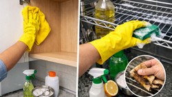 Modular Kitchen Cabinet को अंदर से कैसे साफ करें? किचन में लगे स्टैंड और स्टोरेज शेल्फ को साफ करने के आसान तरीके