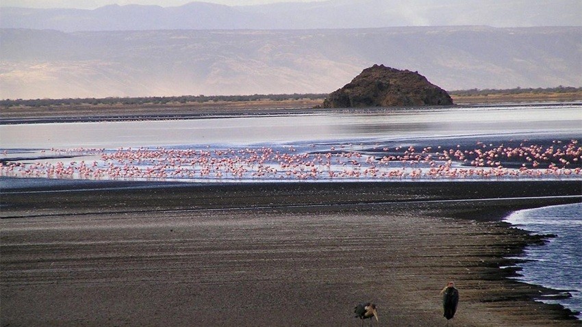lake natron tanzania