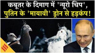 Russia Ukraine News: पुतिन के ज़िंदा ड्रोन, पक्षियों के दिमाग में सीक्रेट ‘चिप’, एयर डिफेंस छू भी नहीं पाएंगे!