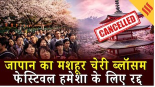 Cherry Blossom Festival Cancelled: कैसे ओवरटूरिज्म ने Japan के फुजियोशिदा के इस त्यौहार को रद्द करवा दिया